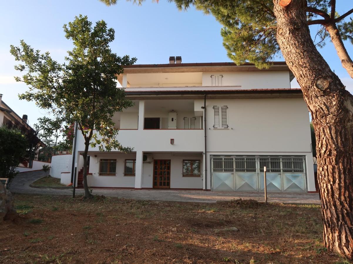 Apartamento Terra Da Mare Potenza Picena Exterior foto